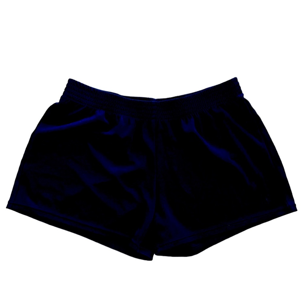 Danskin Now shorts EUC